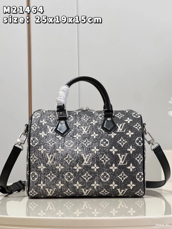 25 BANDOULIÈRE SPEEDY LOUIS VUITTON 0807